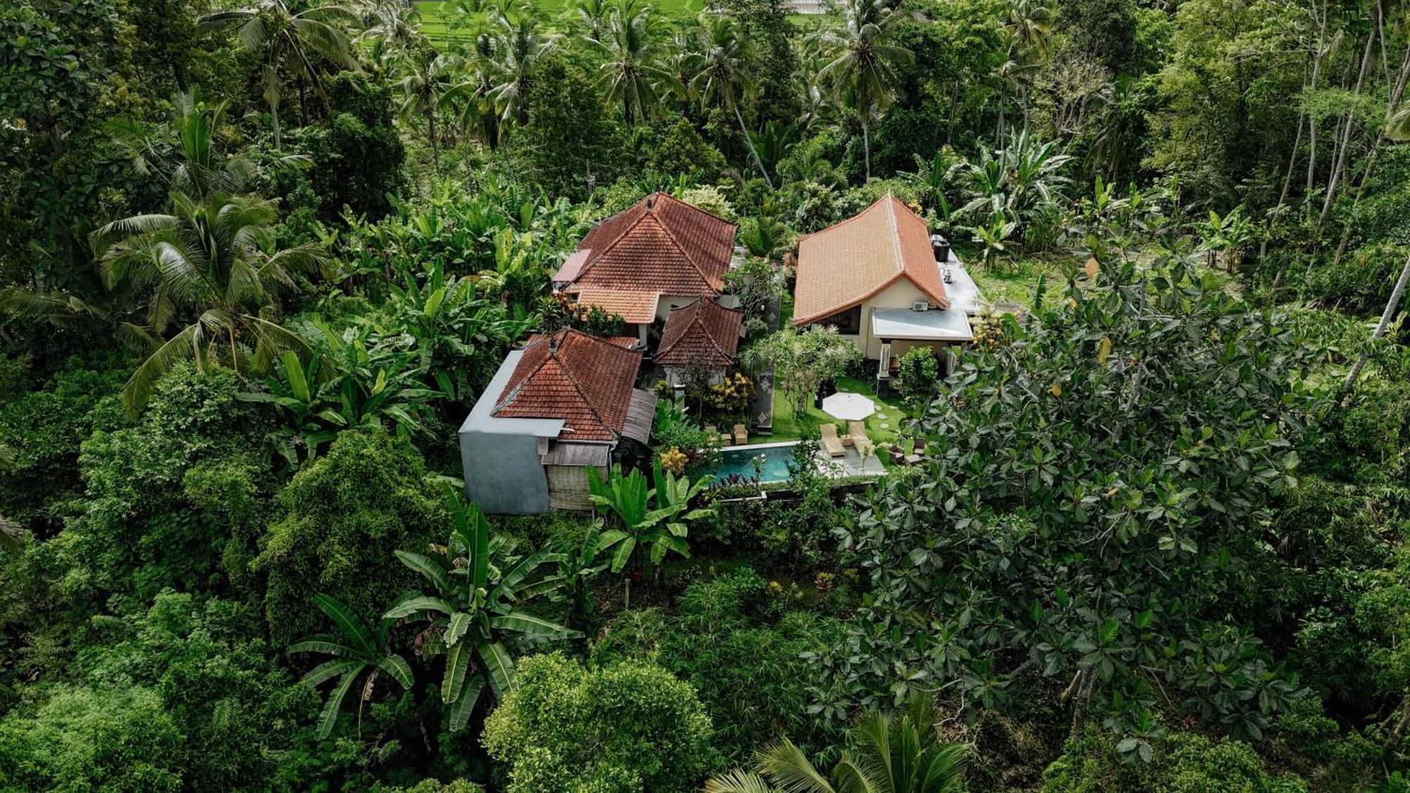 Campuhan Guesthouse Selemadeg Exterior foto